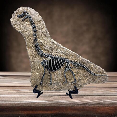 Resin Mosasaurus Dinosaur Fossil Figure Statue Model Simulated Skeleton Home Office Display Decorative Craft Box Decoration (Style 9) in Saudi Arabia