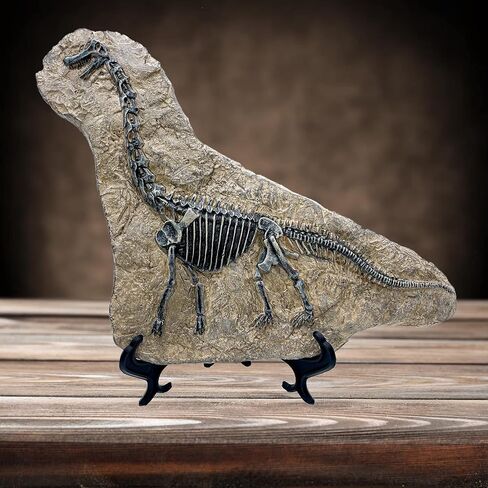 Resin Mosasaurus Dinosaur Fossil Figure Statue Model Simulated Skeleton Home Office Display Decorative Craft Box Decoration (Style 9) in Saudi Arabia