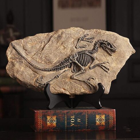 Resin Mosasaurus Dinosaur Fossil Figure Statue Model Simulated Skeleton Home Office Display Decorative Craft Box Decoration (Style 9) in Saudi Arabia