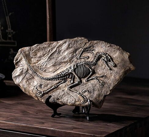 Resin Mosasaurus Dinosaur Fossil Figure Statue Model Simulated Skeleton Home Office Display Decorative Craft Box Decoration (Style 9) in Saudi Arabia