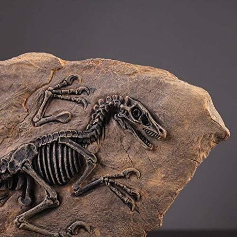 Resin Mosasaurus Dinosaur Fossil Figure Statue Model Simulated Skeleton Home Office Display Decorative Craft Box Decoration (Style 9) in Saudi Arabia