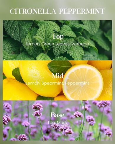 M&SENSE Citronella Peppermint Scented Candle 19.4oz,Peppermint Candles Outdoor,Summer Citronella Candles for Patio Camping BBQ,110 Hours Burn Time, Nature Soy Wax in Saudi Arabia