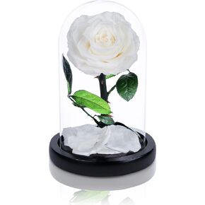 Handmade Preserved Flowers in Glass Dome, White Roses