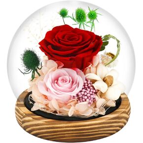 LITEYPP Preserved Purple Rose Flower Birthday Present for Mom, Eternal Rose Real Flowers in Glass Dome for Women, Grandma, Wife, Sister, Home Office Decoration (Purple)