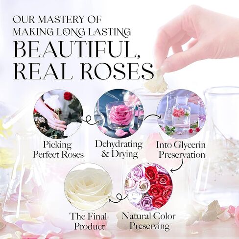 Open Heart Love Box مع 16 الورود المحفوظة - زهرة ساحرة ، هدايا لها ، أمي ، وابنتها ، 9.45 "× 9.45" × 8.6 "(أحمر) in Kuwait