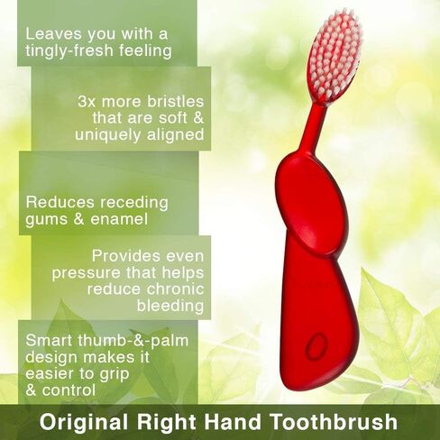 RADIUS Big Brush BPA Free & ADA Accepted Toothbrush Designed to Improve Gum Health & Reduce Gum Issues - Right Hand - Assorted - Pack of 6 in Saudi Arabia