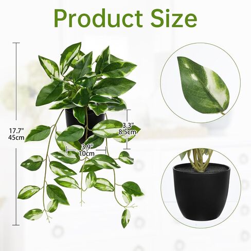 Briful Small Fake Plants Indoor Greenery Realistic Faux Trailing Plant Artificial Potted Plants in Black Pot N' Joy Pink Green Leaf Houseplant for Living Room Table Kitchen Counter Shelf in Saudi Arabia