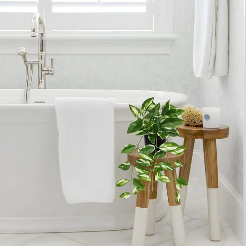Briful Small Fake Plants Indoor Greenery Realistic Faux Trailing Plant Artificial Potted Plants in Black Pot N' Joy Pink Green Leaf Houseplant for Living Room Table Kitchen Counter Shelf in Saudi Arabia
