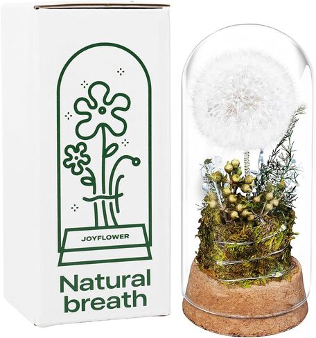 نهايات Joyflower المحفوظة في قبة زجاجية ، هدايا زهور أبدية حقيقية للنساء ، هدايا الصداقة الزهرة المحفوظة لصديقتها in Kuwait