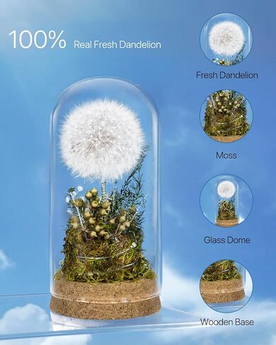 نهايات Joyflower المحفوظة في قبة زجاجية ، هدايا زهور أبدية حقيقية للنساء ، هدايا الصداقة الزهرة المحفوظة لصديقتها in Kuwait