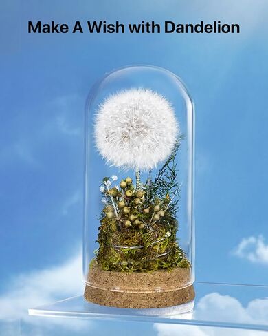 نهايات Joyflower المحفوظة في قبة زجاجية ، هدايا زهور أبدية حقيقية للنساء ، هدايا الصداقة الزهرة المحفوظة لصديقتها in Kuwait