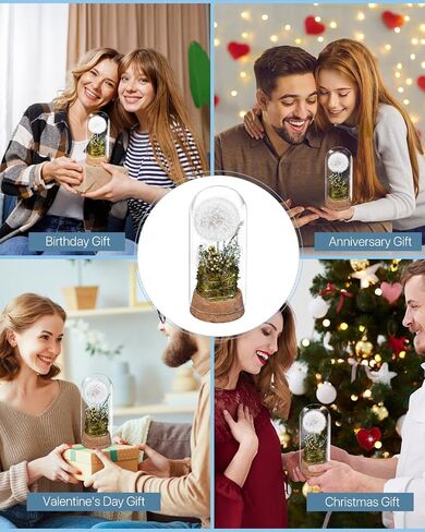 نهايات Joyflower المحفوظة في قبة زجاجية ، هدايا زهور أبدية حقيقية للنساء ، هدايا الصداقة الزهرة المحفوظة لصديقتها in Kuwait