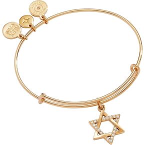 Alex و Ani Start of David Single Charm Bangle