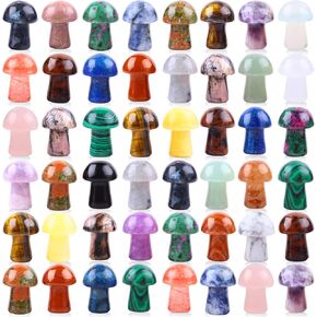 48pcs Natural Stone Mini Mushroom Decor Set - Assorted Healing Crystal Home Decor Kit - Polished Cute Mushroom Stones for Witchcraft Supplies, Home Garden Decoration