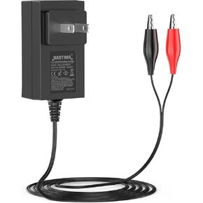 NASTIMA 6V LiFePO4 Battery Charger, 7.3V 1A Smart Charger for 6V Lithium Iron Phosphate Battery with Red and Black Clips and LED Indicator Light