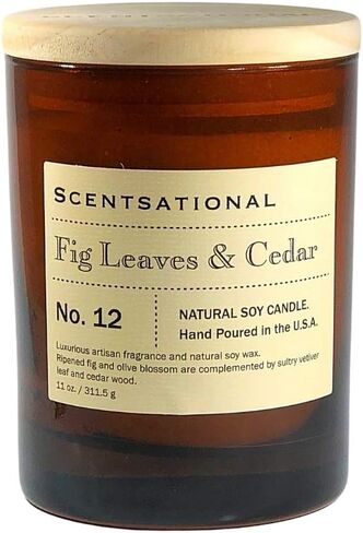 Scentsational Candles | Vetiver Vanilla No. 09 | Apothecary Collection | Luxury Scented Soy Jar Candle | Hand Poured in The USA | Highly Scented & Long Lasting | 11 Oz. in Saudi Arabia
