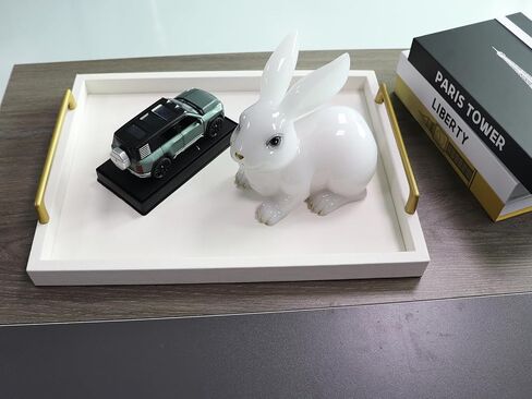 MCBZ Living Room Coffee Table Decorative Tray, Food Service Tray, Leather Ottoman Tray,with Metal Handles 16.5 x 12.6 in (Black and White Grid) in Kuwait