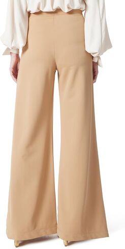 Women's Anna High Rise Pull on Pin Tuck Pant Standard in Saudi Arabia