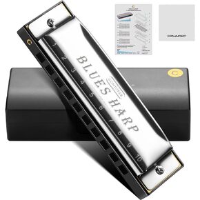 Blues Harmonica for Kids Beginners, 10 Hole Diatonic Harmonica Key of C, Brass Reed Metal Mouth Organ C Key Blues Harp with Case, Silver