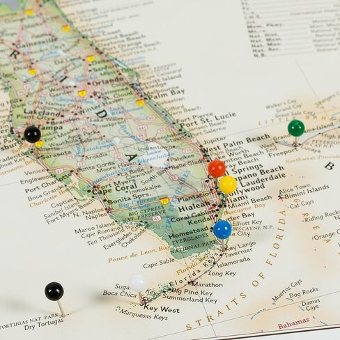 Craig Frames Wayfarer, Executive United States Push Pin Travel Map, Dark Brown Veneer Frame and Pins, 24 by 36-Inch in Kuwait