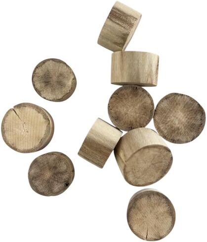 BUZZUFY Royal-Pith disc Assortment for Cleaning and degreasing for Watchmakers Set of 10 Pieces in Saudi Arabia