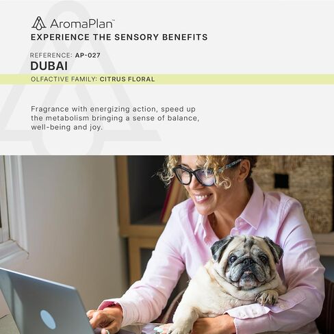 AromaPlan Car Air Freshener Spray, 24 Knights- Non-Toxic, Concentrated, Odor Eliminator & Long Lasting Car Air Freshener- Car Scent Spray, 5 Star Hotel Scent Fragrances (30 ml) in Kuwait