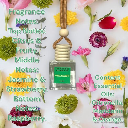4 Pack Air fresheners | Long lasting car air fresheners, Hand-made in USA | Small room diffuser | Small Business Woman Owned. (8 ml Fresh & Earthy Pack Mix) in Saudi Arabia