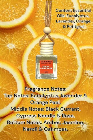4 Pack Air fresheners | Long lasting car air fresheners, Hand-made in USA | Small room diffuser | Small Business Woman Owned. (8 ml Fresh & Earthy Pack Mix) in Saudi Arabia