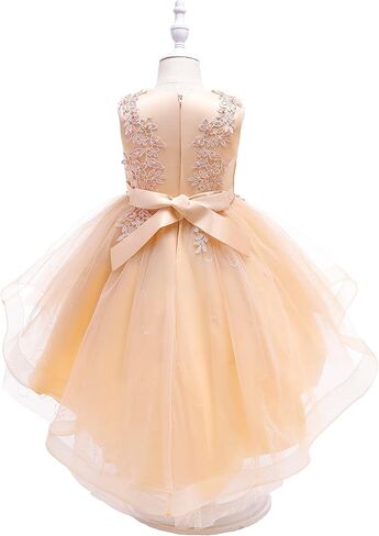 Weileenice Flower Girl Lace Bridesmaid Dress High-Low Embroidery Kids Wedding Party Birthday Tulle Dresses in Saudi Arabia
