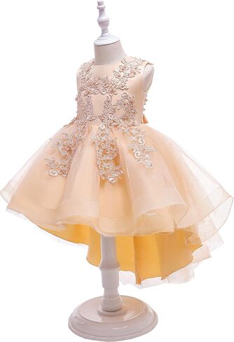Weileenice Flower Girl Lace Bridesmaid Dress High-Low Embroidery Kids Wedding Party Birthday Tulle Dresses in Saudi Arabia