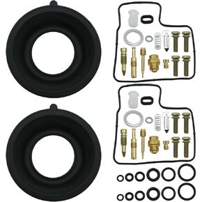 2 Pack Carburetor Repair Kit, Carb Rebuild Kit with Float Diaphragm, Replacement for Honda Shadow Spirit 1100 VT1100C 1997 1998 1999 2000 2001 2002 2003 2004 2005 2006 2007