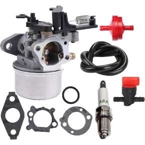 Carburetor Replacement for 596855 Compatible with121P02-0002-F1 121P02-0005-F1 Engine Carb