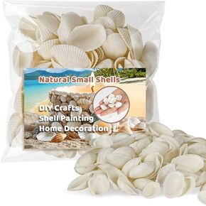 90 PCS White Sea Shells - 0.8-1.2 in Small Clam Shells Tiny Shells for Crafts Shells Bulk Sea Shells for Decorating Beach Theme Party Vase Filler Fish Tank