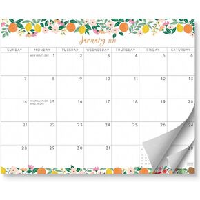 S&O Fruity Magnetic Fridge Calendar from January 2024-June 2025 - Tear-Off Refrigerator Calendar to Track Events & Appointments - 18 Month Magnetic Calendar for Fridge for Easy Planning - 8"x10" in.