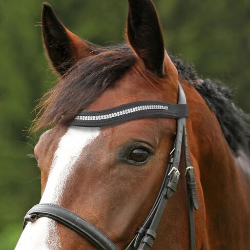 Harrison Howard Curved Padded Diamond Decorated Leather Browband for Horse Bridles Bling browband Black Large in Saudi Arabia