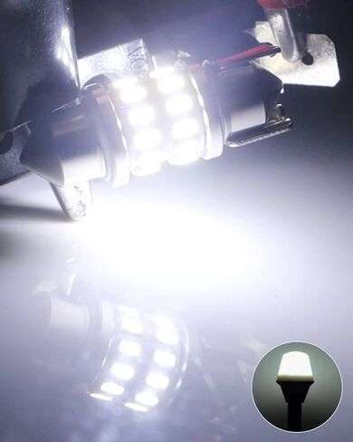Keiurot 31MM Festoon Led Boat Navigation Lights Marine LED Navigation Light Boat LED القوس ضوء مرساة ضوء الصاري ضوء الصاري 12 فولت أضواء قارب LED بيضاء، حزمة من 2 in Kuwait