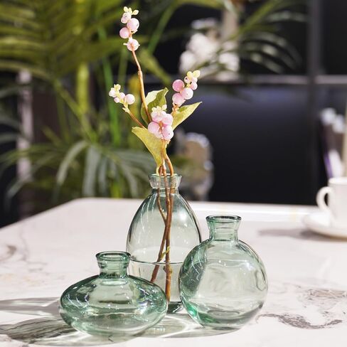 مزهرية زجاجية مزهريات صغيرة للزهور - مزهريات زجاجية مجموعة من 3 مزهريات قصيرة بسيطة مزهريات زهور صغيرة مزخرفة حديثة قطع مركزية لديكور رف غرفة الطعام Cynkeyee in Kuwait