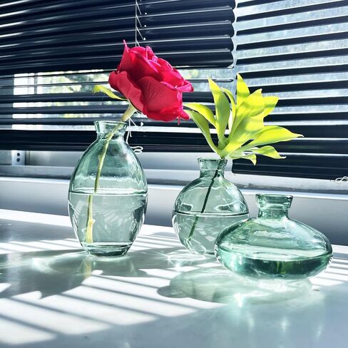 مزهرية زجاجية مزهريات صغيرة للزهور - مزهريات زجاجية مجموعة من 3 مزهريات قصيرة بسيطة مزهريات زهور صغيرة مزخرفة حديثة قطع مركزية لديكور رف غرفة الطعام Cynkeyee in Kuwait