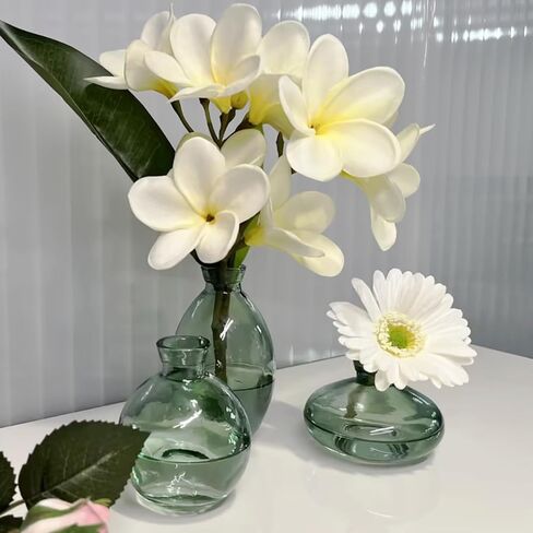 مزهرية زجاجية مزهريات صغيرة للزهور - مزهريات زجاجية مجموعة من 3 مزهريات قصيرة بسيطة مزهريات زهور صغيرة مزخرفة حديثة قطع مركزية لديكور رف غرفة الطعام Cynkeyee in Kuwait