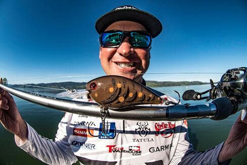 Strike King Red Eyed Shad in Kuwait