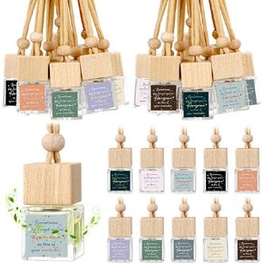 30 Pcs Appreciation Gift Bulk for Staff Inspirational Empty Hanging Car Air Freshener Diffuser, Sometimes You Forget Your Awesome Thank You Gifts for Employee Nurse Staff Teachers