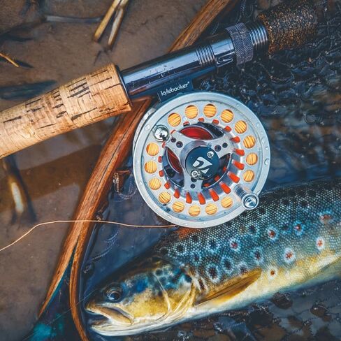Kylebooker يطير الصيد بكرة أربور كبير مع الجسم الألومنيوم يطير بكرة 3/4wt 5/6wt 7/8wt in Saudi Arabia