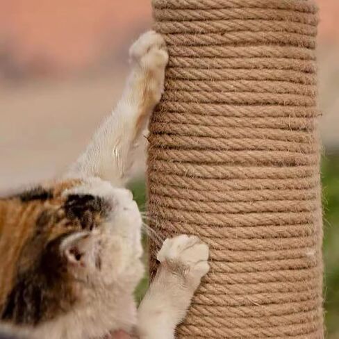 1/2 Inch x 100ft Jute Rope Natural Thick Heavy Hemp Rope Nautical Ropes Twisted Manila Rope for Crafts, Climbing, Bundling,Anchor, Hammock, Nautical, Cat Scratching Post, Tug of War, Decorate in Saudi Arabia
