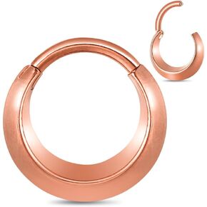 Nose Rings Hoops 16G: 316L Stainless Steel Septum Rings Hoops Gold, Hinged Segment Nose Lips Helix Cartilage Clicker Hoop Earrings Piercing Rings for Women Men 8mm