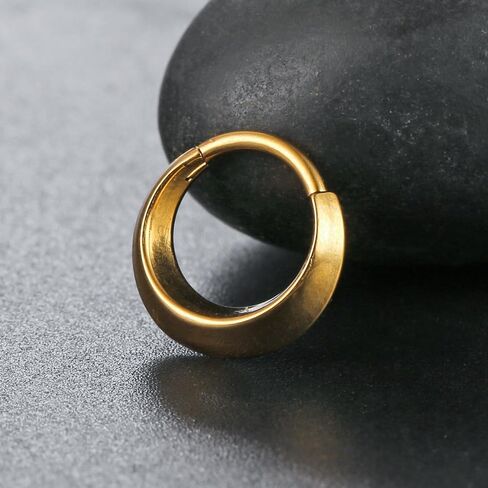 Nose Rings Hoops 16G: 316L Stainless Steel Septum Rings Hoops Gold, Hinged Segment Nose Lips Helix Cartilage Clicker Hoop Earrings Piercing Rings for Women Men 8mm in Saudi Arabia