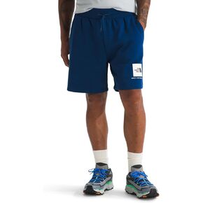 THE NORTH FACE Men's Box NSE Regular Shorts