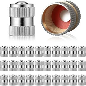 30 Pack Brass Rubber Seal Tire Valve Stem Caps Dust Proof Covers Universal fit Heavy-Duty Stem Covers with O Rubber Seal Easy Install Leak-Proof Air Protection (Silver)