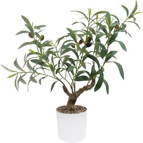 Artificial Olive Tree 20 Inch,Fake Small Olive Tree Indoor,Table Faux Olive Plant Indoor with Natural Wood Trunk and Realistic Leaves and Fruits for Tabletop&Office