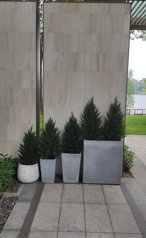 3ft Artificial Cypress Topiary Plants,UV Protection Potted Fake Cedar Plants for Front Door Porch Decor,Realistic Outdoor Trees 2Pack in Saudi Arabia