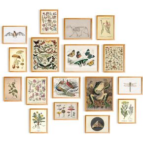 Cottagecore & Fairycore Wall Art - 17 Unframed Prints for Living Room, Bedroom & Office Decor in Saudi Arabia